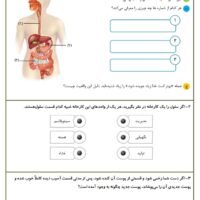 آزمون عملكردي علوم تجربي چهارم دبستان دستگاه گوارش و سلول ها